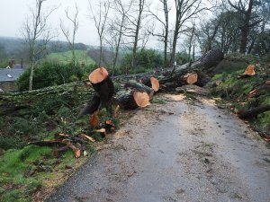 The view from higher up the drive