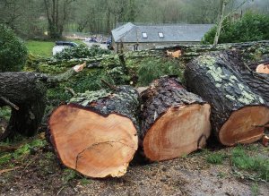 The view over White Styles