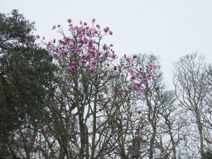 Above the front door