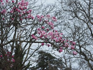Outside the front arch
