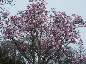 Outside the front arch