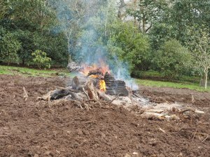 The remains of the stump of the giant fir