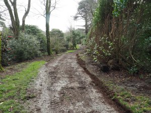 Skimming off the paths