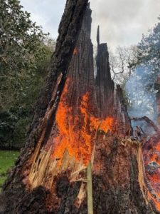 the clear up beyond George’s Hut