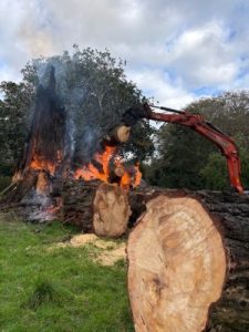 the clear up beyond George’s Hut