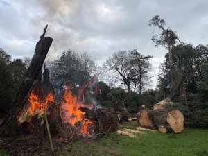 the clear up beyond George’s Hut