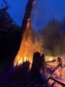 The stump burning well in the darkness