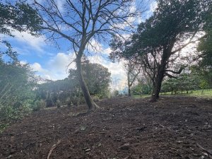 The tidy up complete below Donkey Shoe