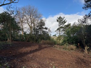 The tidy up complete below Donkey Shoe