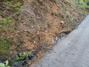 What a mess still along the sides of the drive