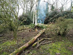 Another day, another secondary storm mess to clear up