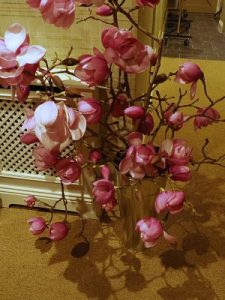 Some vases of Magnolias