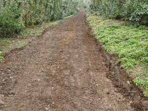 The track to Bramble Field