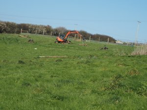Clearance of the storm damaged laying pens
