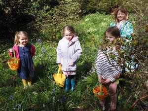 The grandchildren and the white and pink bluebells