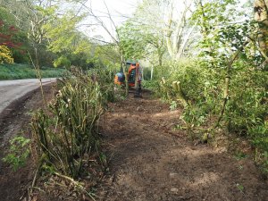 clearance work by the Hovel