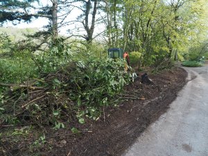 clearance work by the Hovel