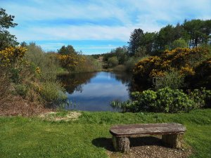 The old reservoir for the original Glenwhan House