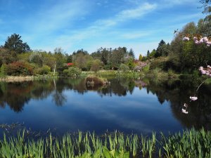The views across the lowest of the 3 lakes