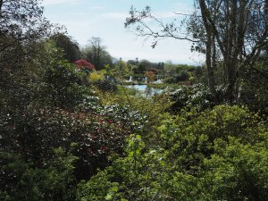 The view from the top of the garden