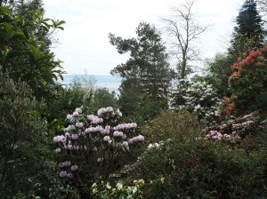 The view over the estuary