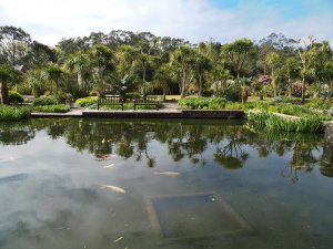 The view across a pond in the walled garden