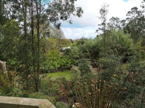 The view down from the New Zealand/ Chilean plant collections