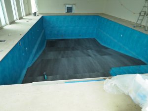 The swimming pool
