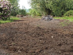 storm damaged area at Donkey Shoe