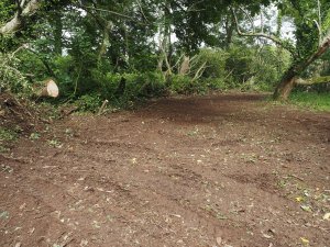 Ririei Opening hurricane damage