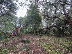 Ririei Opening hurricane damage