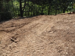 Completion of the storm damage clearance
