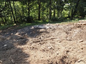 Completion of the storm damage clearance