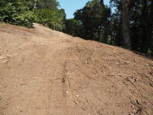 Completion of the storm damage clearance