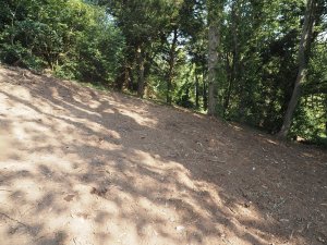 Completion of the storm damage clearance