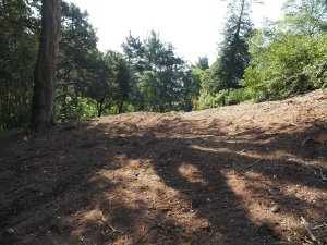 Completion of the storm damage clearance