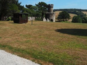 Dry lawn