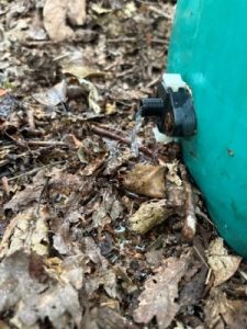 dribble feeding water