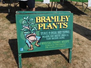 Bramley Plants