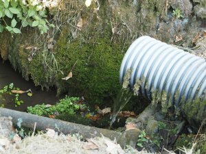 main stream from below The Vean