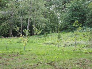 bottom of the valley near the Pink Dairy