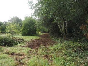 Digger clearance