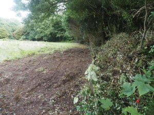 Digger clearance
