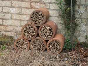bee and bug shelters