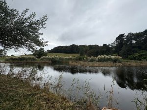 Clearance work on the islands