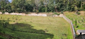 second cut in Kitchen Garden