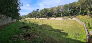 second cut in Kitchen Garden
