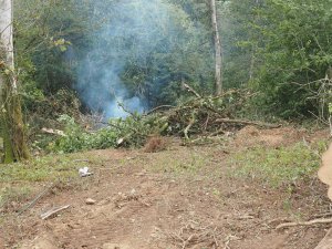 Ross has cleared about an acre